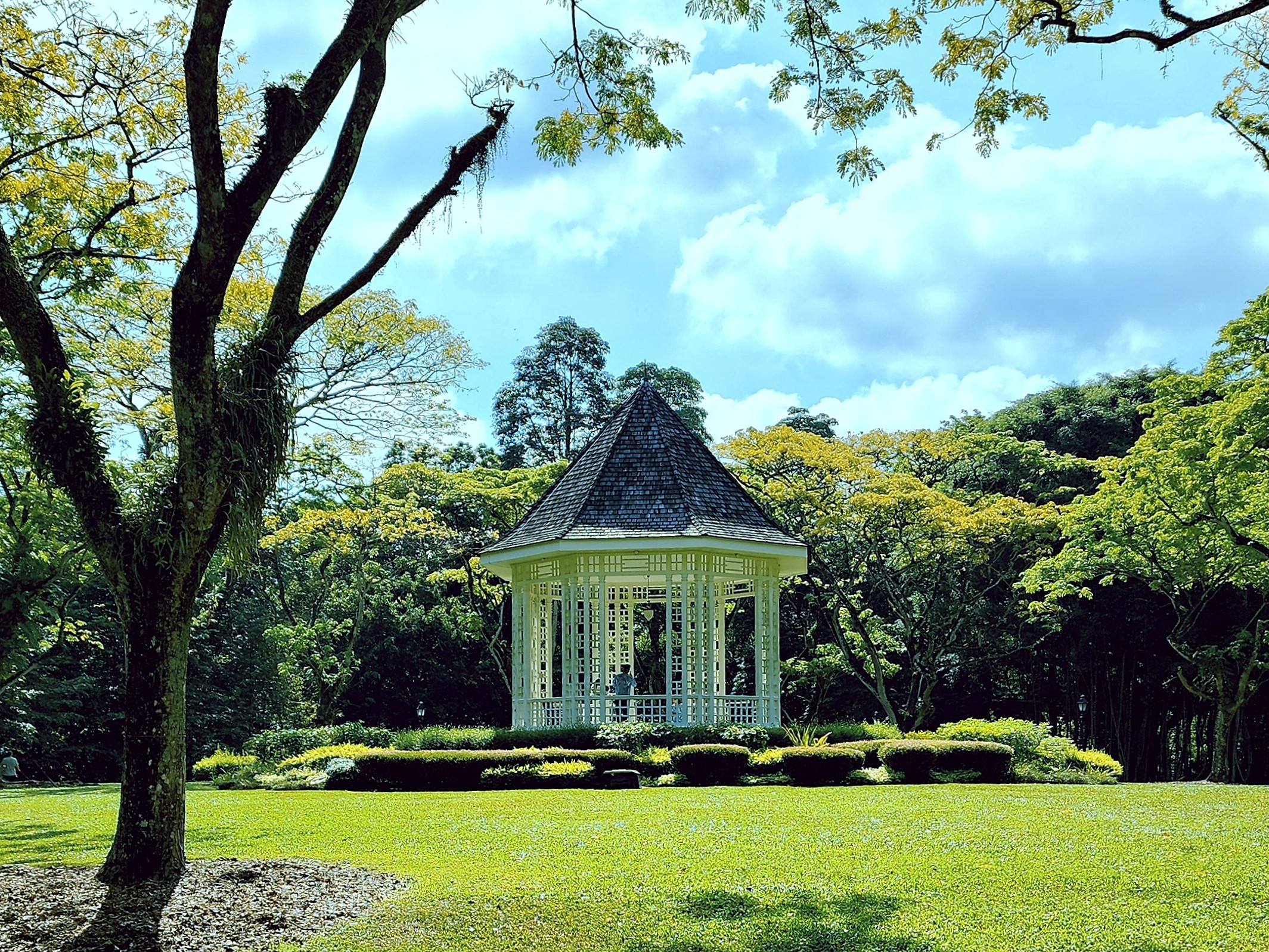 Singapore Botanic Gardens