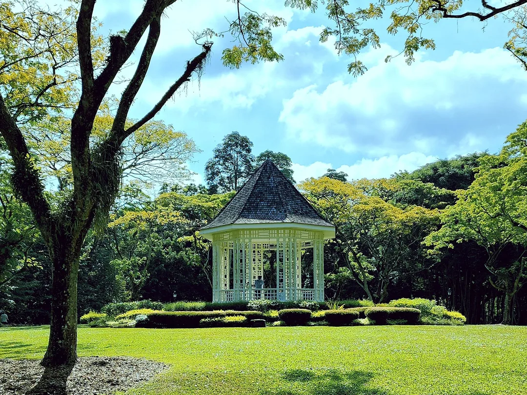 Singapore Botanic Gardens