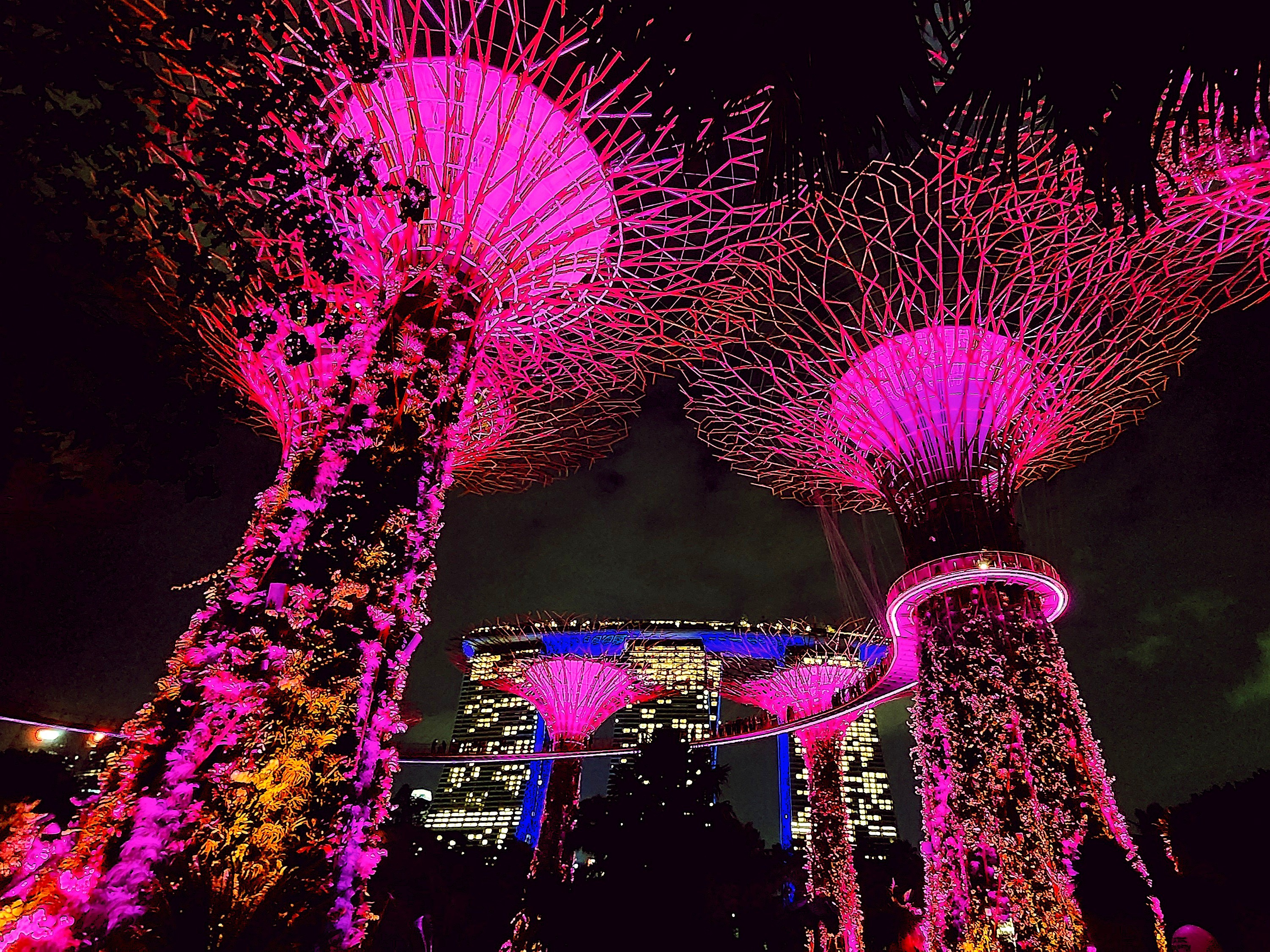 Gardens By the Bay